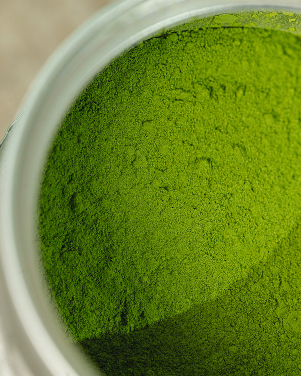 How to Tell If Your Matcha is Good Quality & Why It Matters