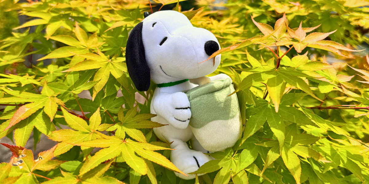 Abib　スヌーピー　コラボ Junbi x Peanuts